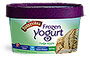 Fudge Ripple Frozen Yogurt