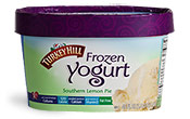 Southern Lemon Pie Frozen Yogurt