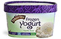 Vanilla Bean Frozen Yogurt