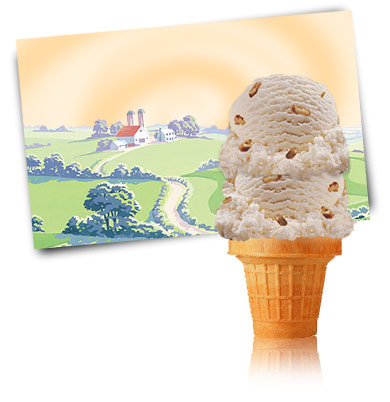 Turkey Hill Black Walnut Premium Ice Cream