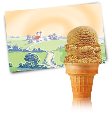 Turkey Hill Cinnamon Premium Ice Cream