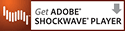 Download Adobe Shockwave Player