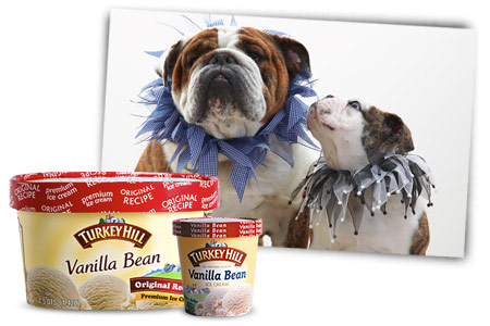 Turkey Hill Frozen Desserts available in pints