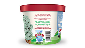 Choco Mint Chip Image 2